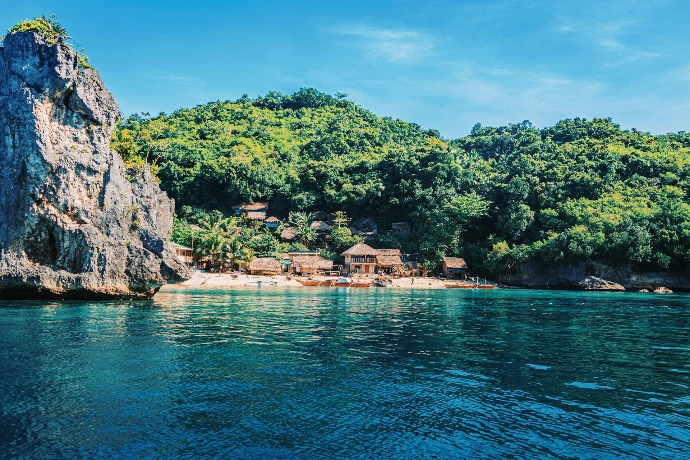 green trees near body of water during daytime